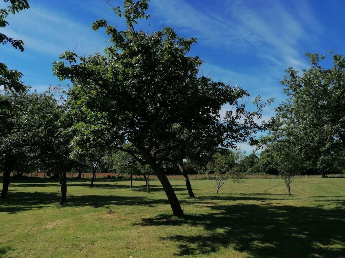 Gite La Rocherie Hambers Zewnętrze zdjęcie
