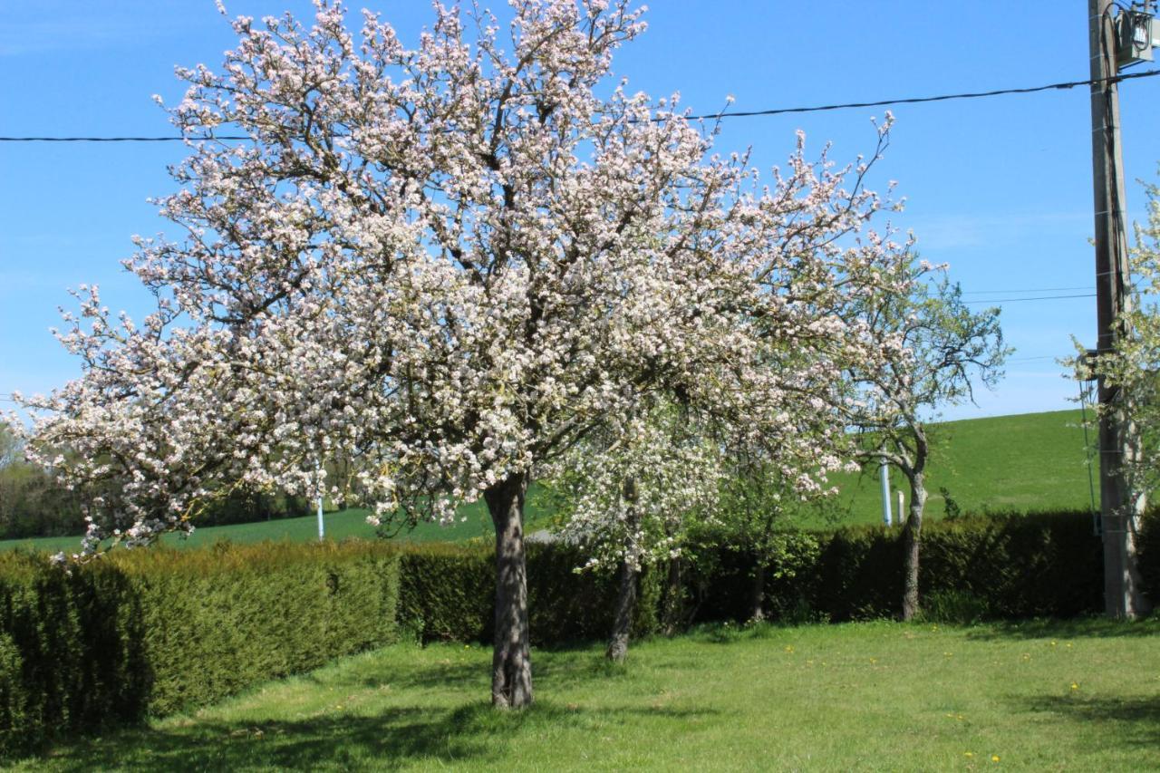 Gite La Rocherie Hambers Zewnętrze zdjęcie